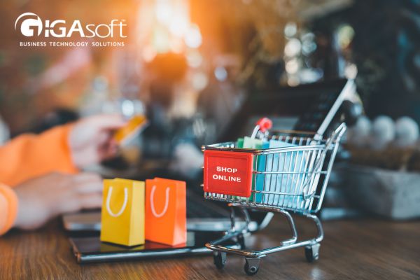 Ecommerce Website Development